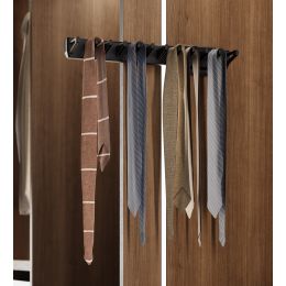 Emuca Porta cravatte laterale estraibile per armadio Quartz, Tecnoplastica e Alluminio, Titanio 2