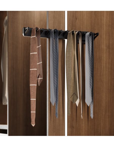 Emuca Porta cravatte laterale estraibile per armadio Quartz, Tecnoplastica e Alluminio, Titanio