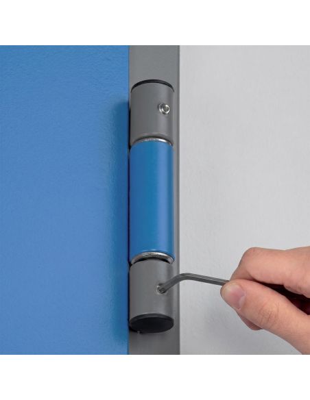 Grano di bloccaggio M8 per cerniera Roll per porta tagliafuoco Ninz 4212013.001