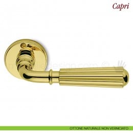 Maniglia per porta Capri Antologhia senza molla 2