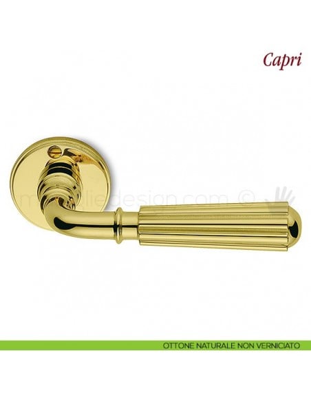 Maniglia per porta Capri Antologhia senza molla ottone naturale non verniciato