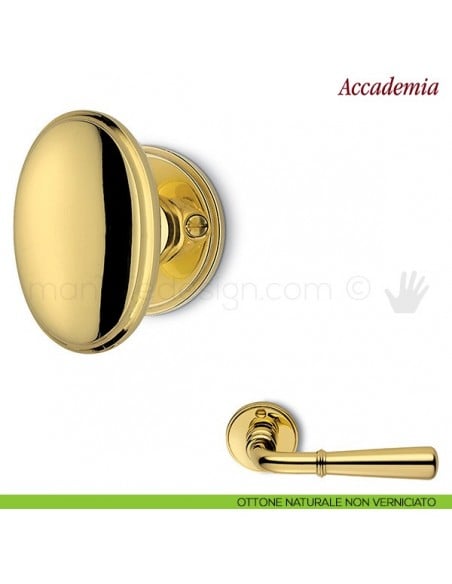 Pomello per porta Accademia girevole Antologhia senza molla ottone naturale non verniciato