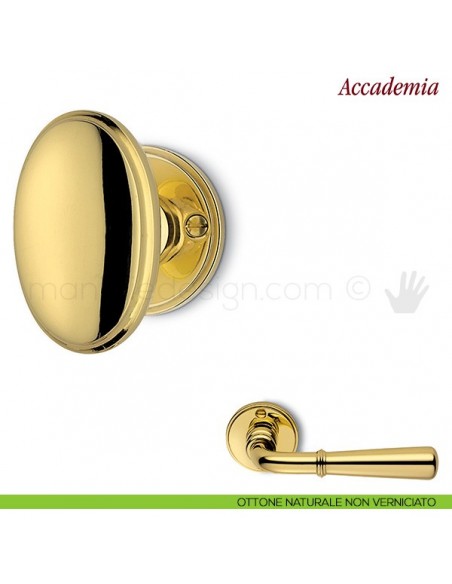 Pomello per porta Accademia girevole Antologhia con molla ottone naturale non verniciato