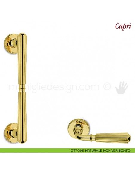 Maniglione per porta Capri Antologhia ottone naturale non verniciato