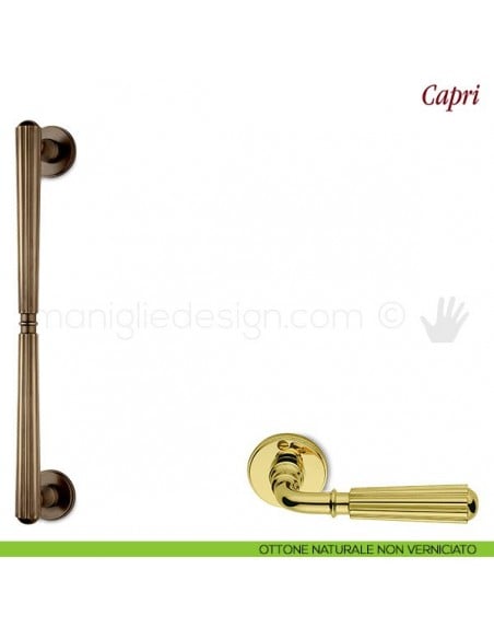 Maniglione per porta Capri Antologhia ottone naturale non verniciato