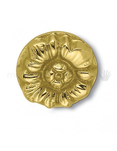 Pomello per mobile Roma Antologhia