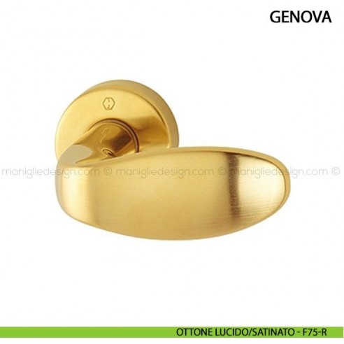 Pomolo per porta Genova Hoppe ottone lucido/satinato - F75-R