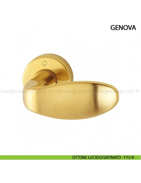 Pomolo per porta Genova Hoppe ottone lucido/satinato - F75-R