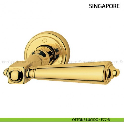 Maniglia per porta Singapore Hoppe ottone lucido - F77-R