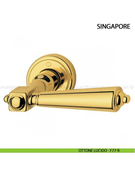 Maniglia per porta Singapore Hoppe ottone lucido - F77-R