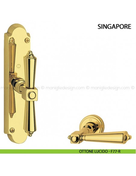 Maniglia per finestra cremonese Singapore Hoppe ottone lucido - F77-R