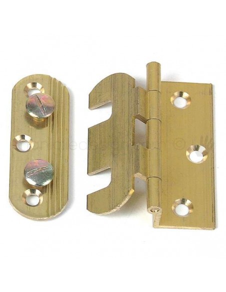 Cerniera a libro regolabile ali zancate 50x40 mm in ottone A0098