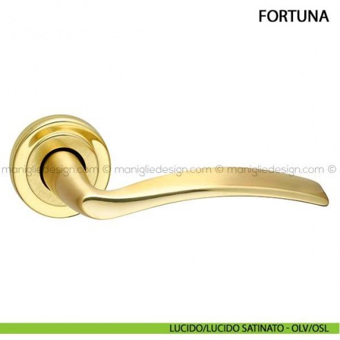 Maniglia per porta Fortuna Arieni lucido/lucido satinato - OLV/OSL