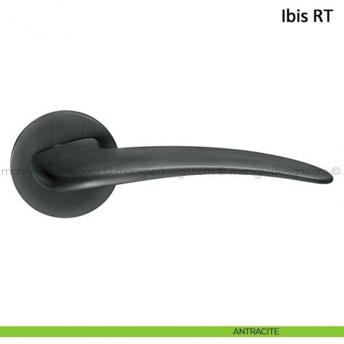 Maniglia per porta Ibis Frascio con rosetta bassa antracite