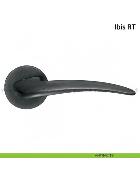Maniglia per porta Ibis Frascio con rosetta bassa antracite