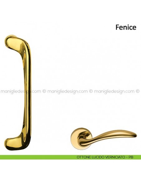 Maniglione per porta Fenice Frascio ottone lucido verniciato