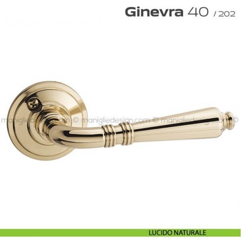 Maniglia per porta 40 Ginevra Reguitti con viti a vista lucido naturale