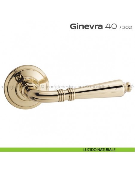 Maniglia per porta 40 Ginevra Reguitti con viti a vista lucido naturale