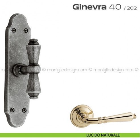 Maniglia per finestra cremonese 40 Ginevra Reguitti lucido naturale