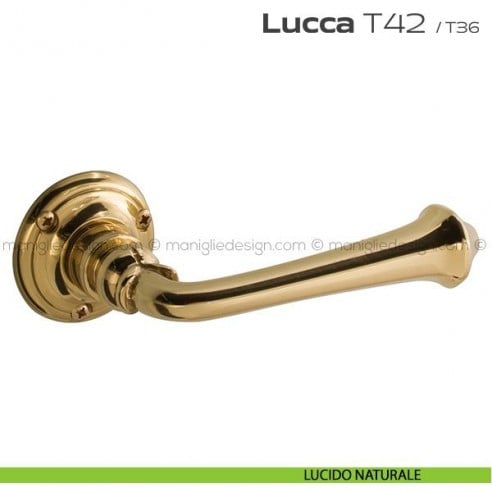 Maniglia per porta T42 Lucca Reguitti lucido naturale