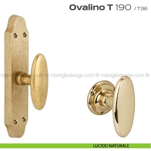 Maniglia per finestra cremonese 190 Ovalino a T Reguitti lucido naturale