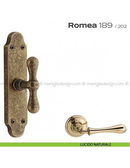 Maniglia per finestra cremonese 189 Romea Reguitti lucido naturale