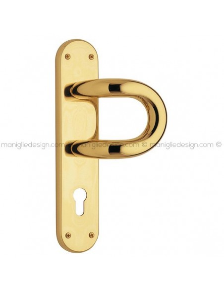 Maniglione per porta 315 Universo Reguitti con placca yale