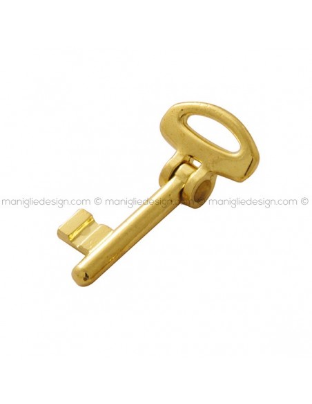 Chiave snodata per serrature 7SR articolo 007 CH Reguitti