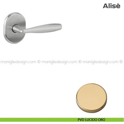 Maniglia per porta d'ingresso con rosetta 62x82 mm 171HM062 Reguitti PVD lucido oro