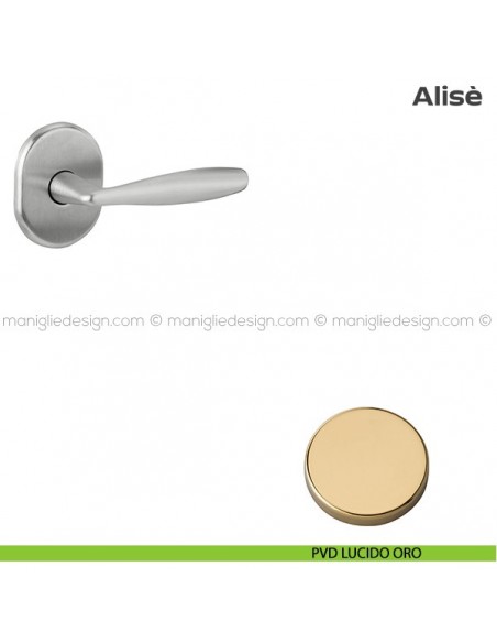 Maniglia per porta d'ingresso con rosetta 62x82 mm 171HM062 Reguitti PVD lucido oro