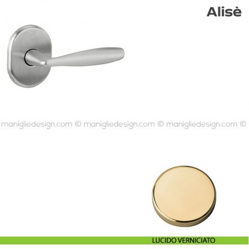 Maniglia per porta d'ingresso con rosetta 62x82 mm 171HM062 Reguitti lucido verniciato