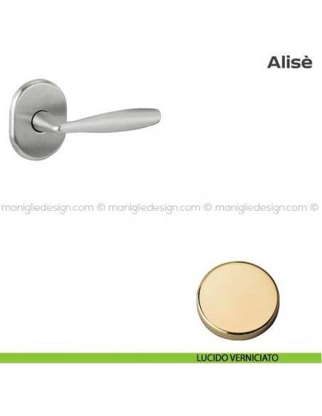 Maniglia per porta d'ingresso con rosetta 62x82 mm 171HM062 Reguitti lucido verniciato