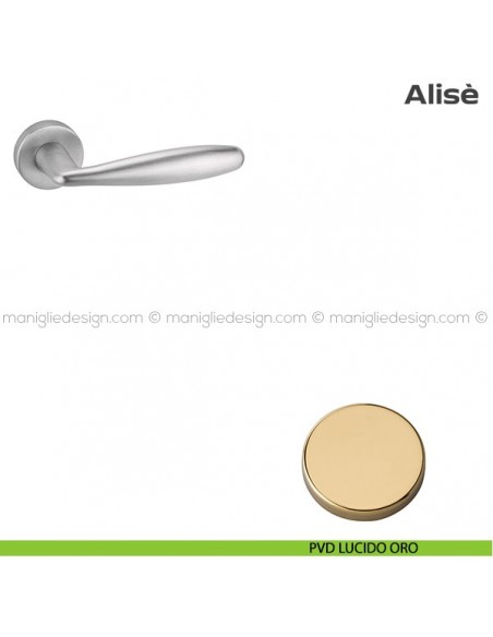 Maniglia per porta blindata con rosetta diametro 45 mm 171HM416 Reguitti PVD lucido oro