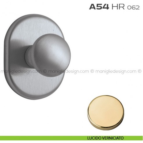 Pomolo girevole per porta con rosetta 62x82 mm A54HR Reguitti lucido verniciato