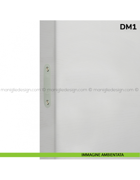 Dispositivo magnetico Bonaiti B-MAG chiave modello DM1
