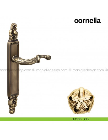 Maniglia per porta con placca Cornelia Poggi Mariani lucido - OLV cieca