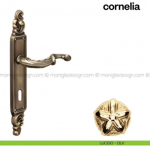 Maniglia per porta con placca Cornelia Poggi Mariani lucido - OLV foro patent