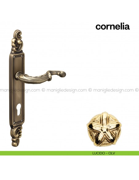Maniglia per porta con placca Cornelia Poggi Mariani lucido - OLV foro yale