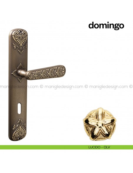 Maniglia per porta con placca Domingo Poggi Mariani Lucido - OLV foro patent