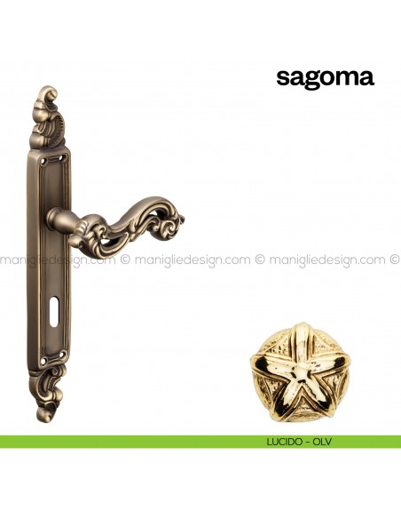 Maniglia per porta con placca Sagoma Poggi Mariani lucido - OLV foro patent