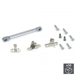 Emuca Pistone a gas per ante a ribalta, forza 12 kg, corsa 80 mm, Grigio metallizzato, 10 u.