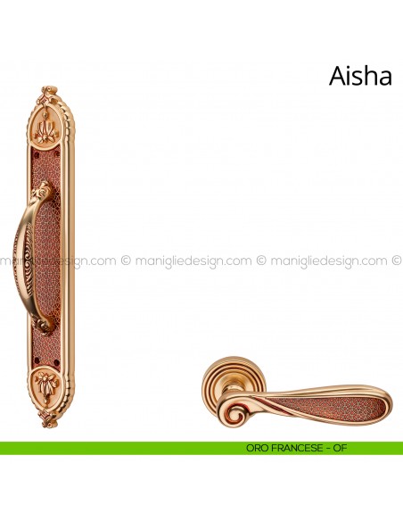 Maniglione per porta Aisha Linea Calì con placca big oro francese