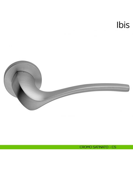 Maniglia per porta interna Ibis Linea Calì rosetta tonda cromo satinato