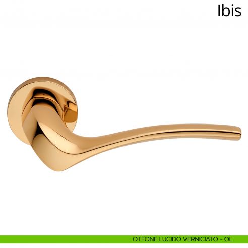 Maniglia per porta interna Ibis Linea Calì rosetta tonda ottone lucido verniciato