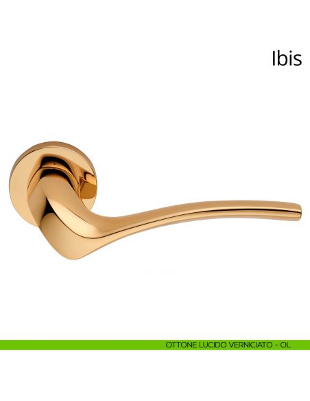 Maniglia per porta interna Ibis Linea Calì rosetta tonda ottone lucido verniciato