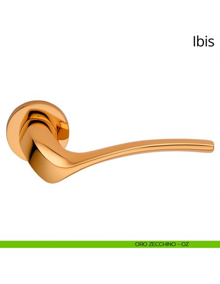 Maniglia per porta interna Ibis Linea Calì rosetta tonda oro zecchino