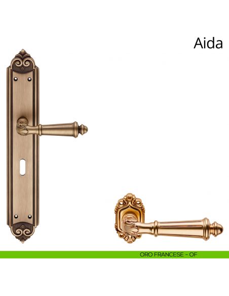 Maniglia con placca Big per porta Aida Linea Calì - oro francese - foro patent