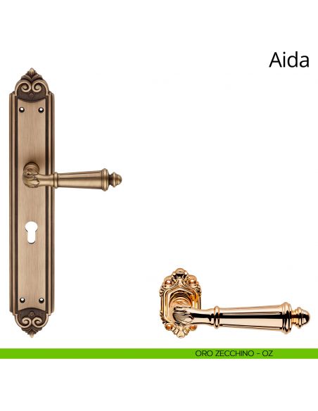 Maniglia con placca Big per porta Aida Linea Calì - oro zecchino - foro yale