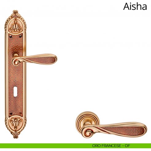 Maniglia con placca Big per porta Aisha Linea Calì - oro francese - foro patent
