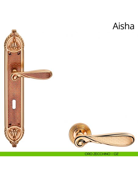 Maniglia con placca Big per porta Aisha Linea Calì - oro zecchino - foro patent